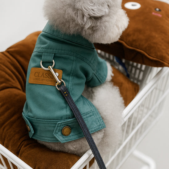 Manteau chien d enfilage d ajustement