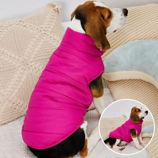 Manteau pour chien tissu resistant accroche set mordillements