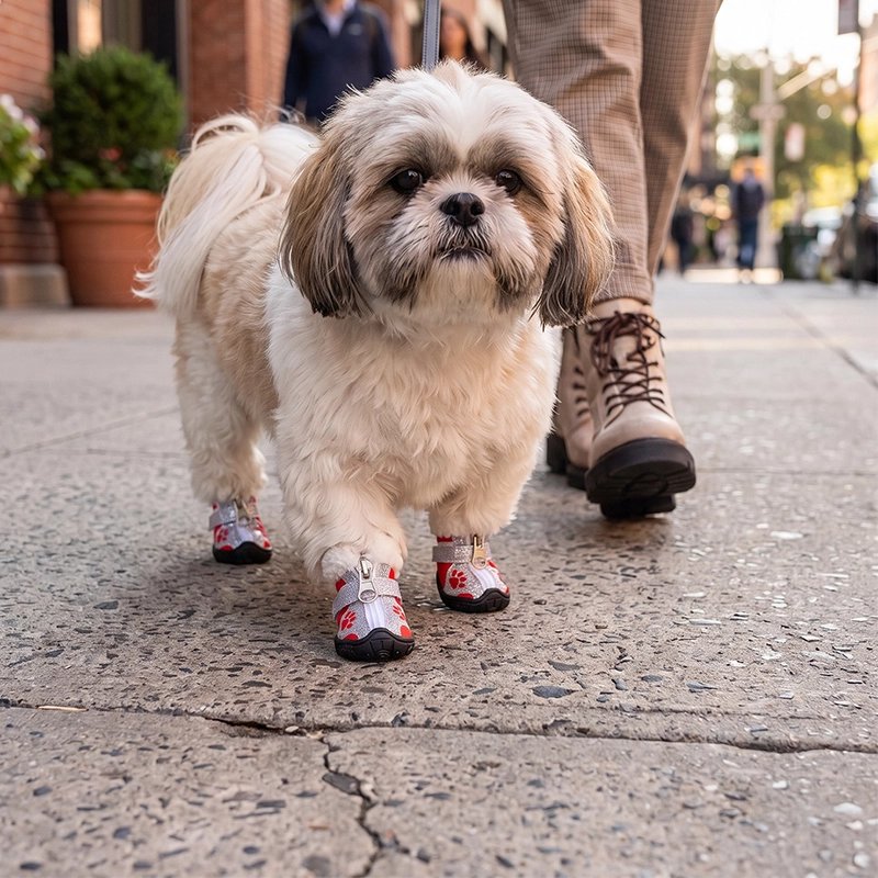 Chaussure pour Chien construction ergonomique épousant la forme naturelle de la patte sans gêner les mouvements