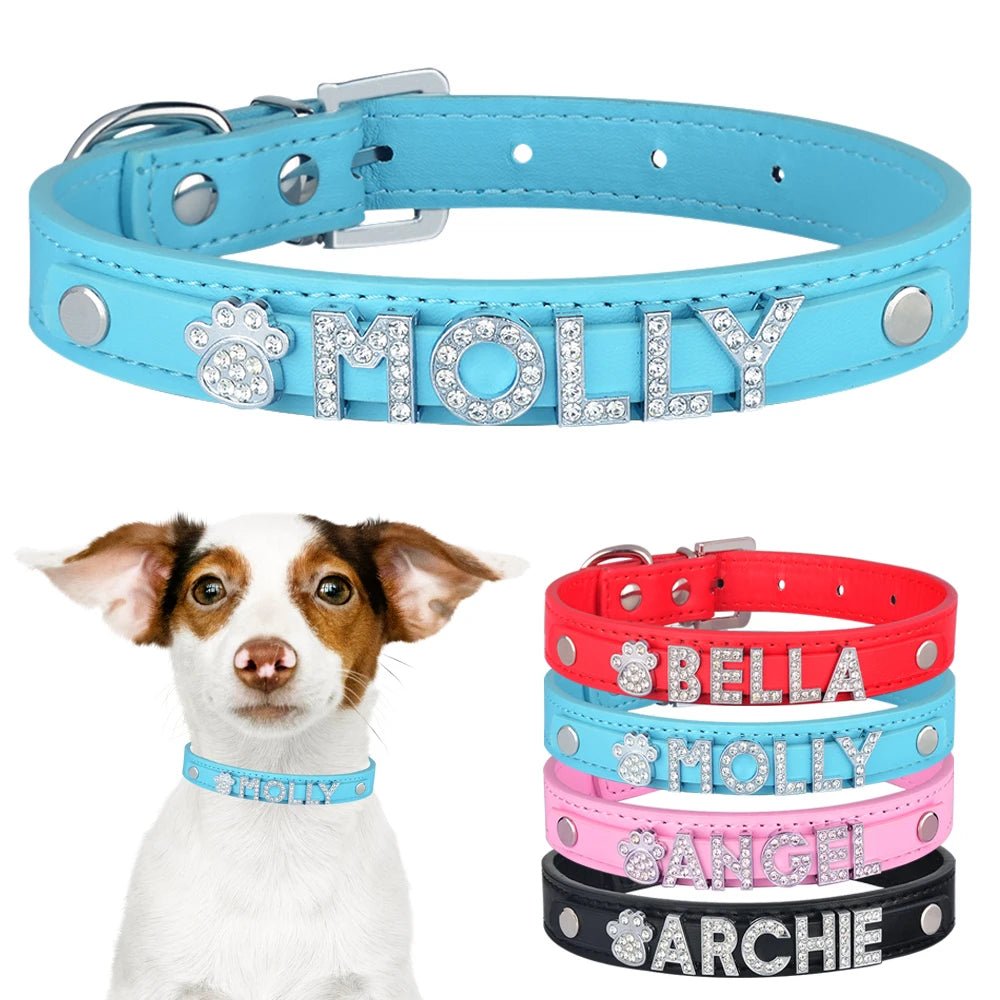 Collier de nylon personnalisée avec le nom de votre animal de compagnie - WOOF TOUT