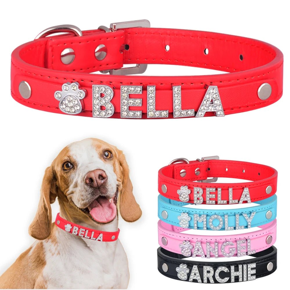 Collier de nylon personnalisée avec le nom de votre animal de compagnie - WOOF TOUT