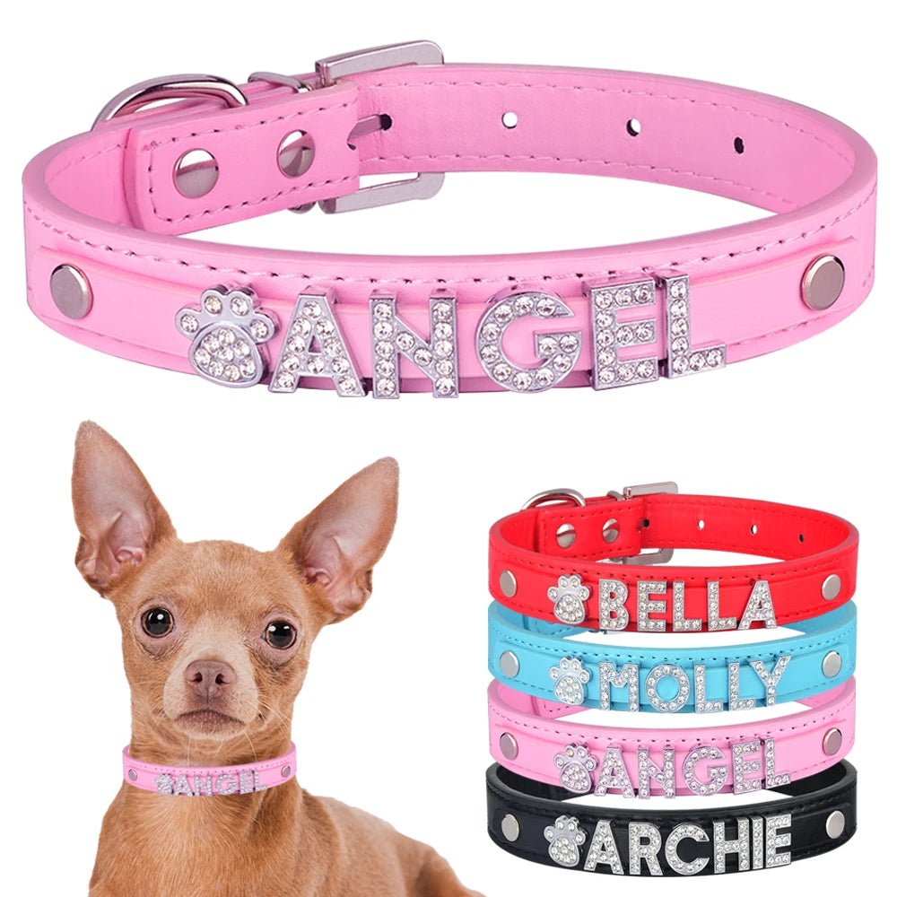 Collier de nylon personnalisée avec le nom de votre animal de compagnie - WOOF TOUT