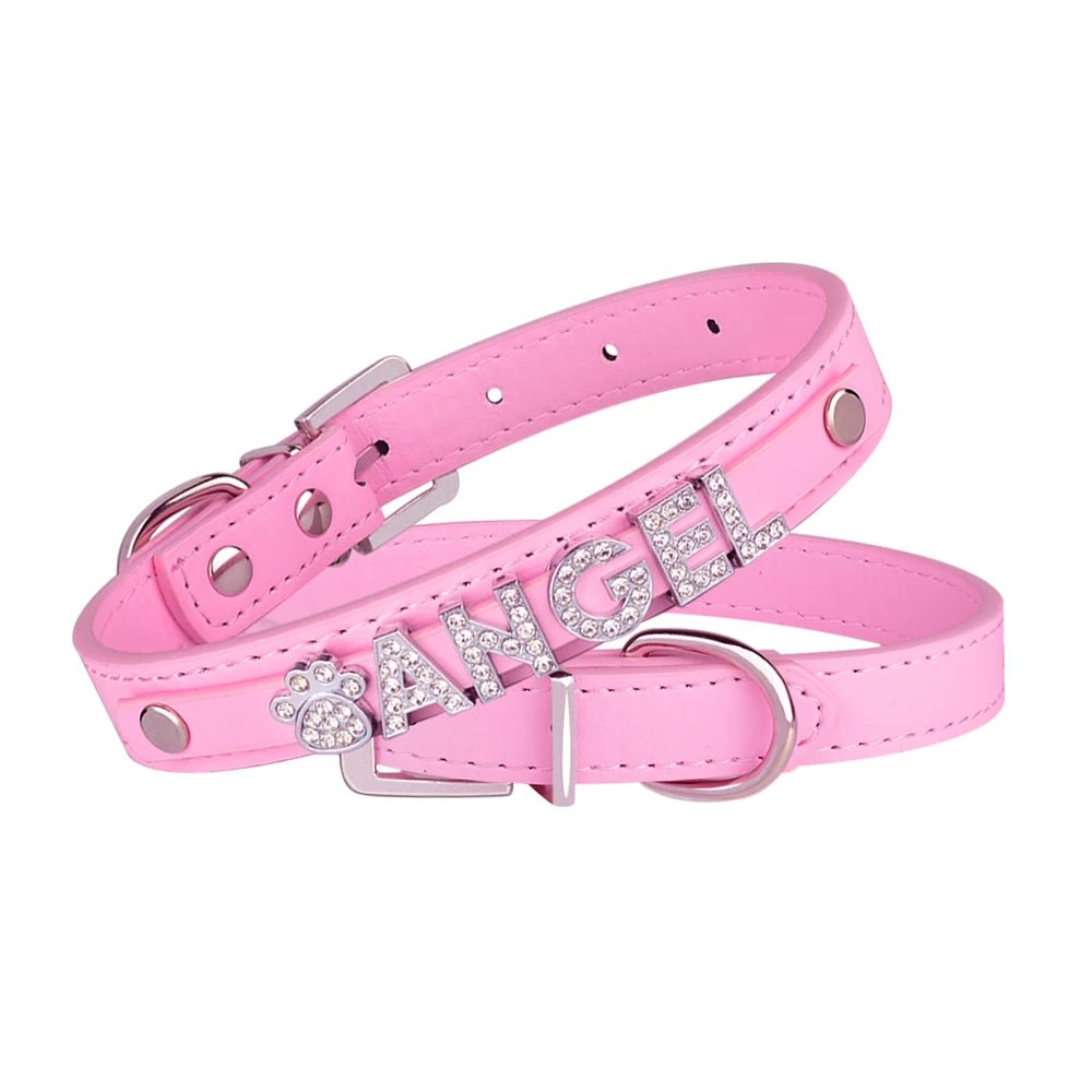 Collier de nylon personnalisée avec le nom de votre animal de compagnie - WOOF TOUT