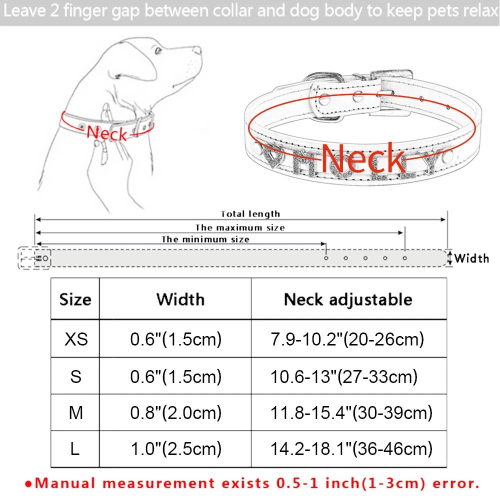 Collier de nylon personnalisée avec le nom de votre animal de compagnie - WOOF TOUT
