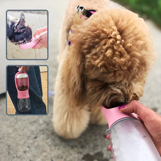 gourde pour chien atoute - WOOF TOUT