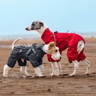 Imperméable pour chien Polyvalence d'usage: Convient aux promenades sur plage, en forêt ou en ville