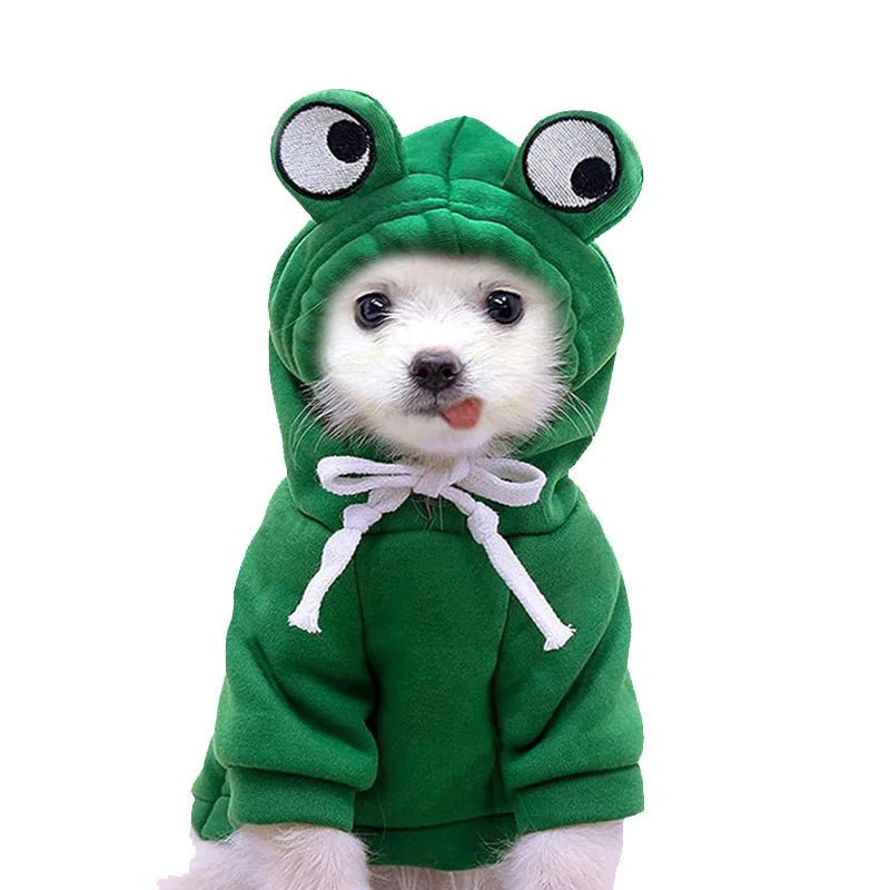 j adore me déguiser moi le chien et être au chaud . - WOOF TOUT