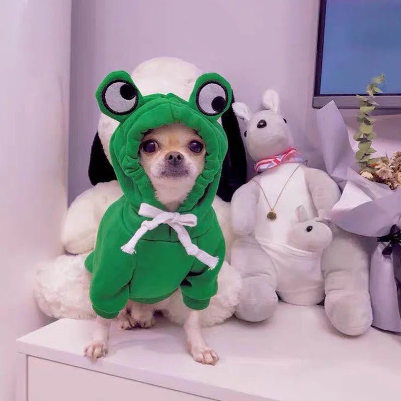 j adore me déguiser moi le chien et être au chaud . - WOOF TOUT