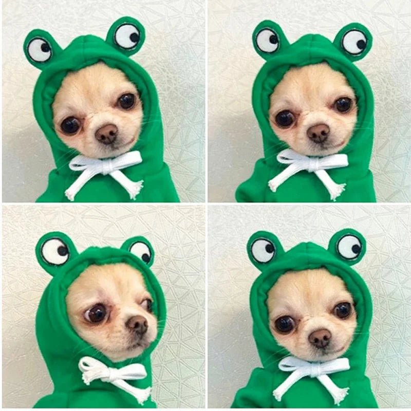 j adore me déguiser moi le chien et être au chaud . - WOOF TOUT