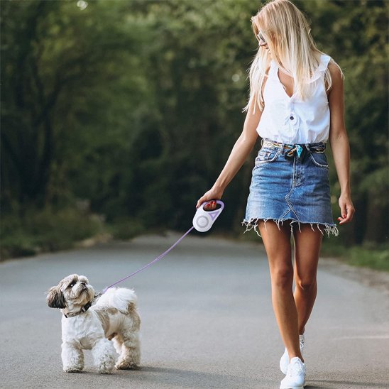 Laisse chien enrouleur Lampe torche incorporée
