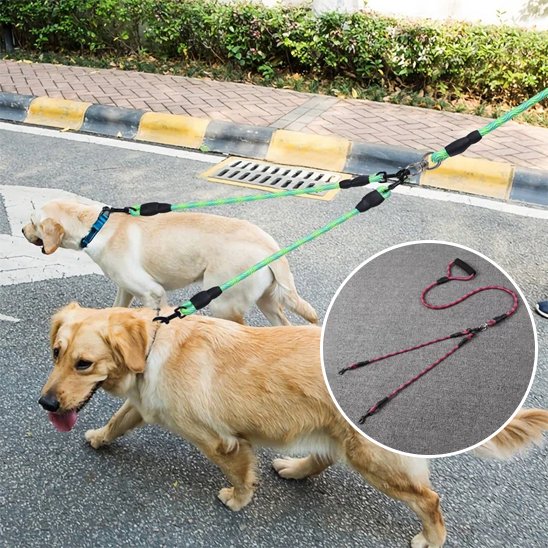 Laisse double pour chien laisse conception robuste supportant la traction de deux animaux sans risque de rupture