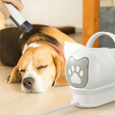 Aspirateur poil de chien moins de stress plus temps compagnon