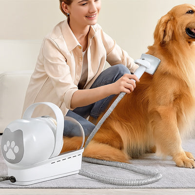 Aspirateur poil de chien-pour capturer poils inscrutes