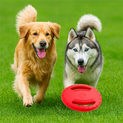 Frisbee pour chien Ultra resistant