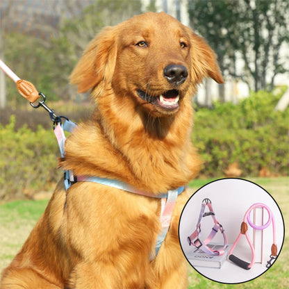 Harnais pour chien longue laisse Lyss