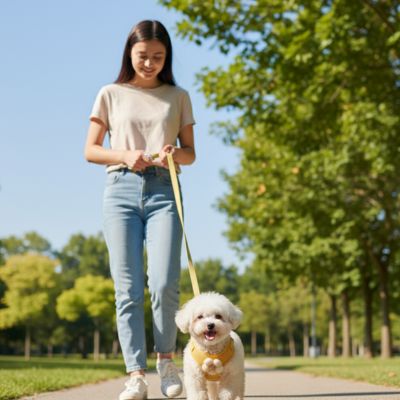 Harnais pour petit Chien tissus resistants legers