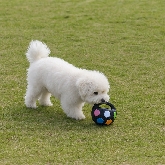 Jouet chien Divertissement