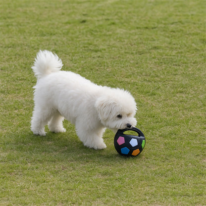 Jouet chien Divertissement