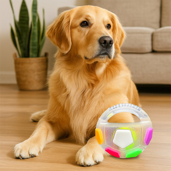 Jouet chien Stimulation mentale