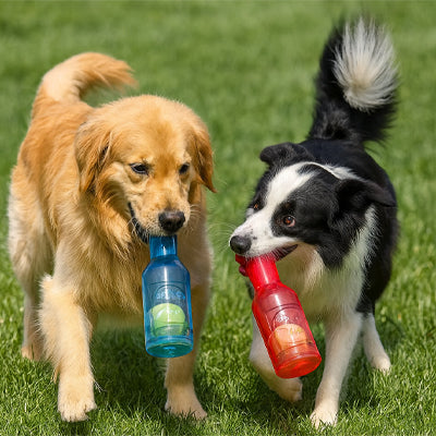 Jouet chien joyeux