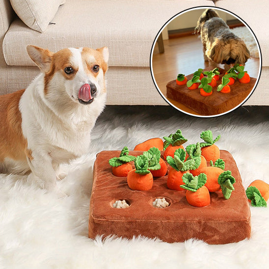 Jouet pour chien caches friendises