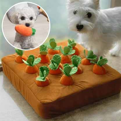 Jouet pour chien flottants