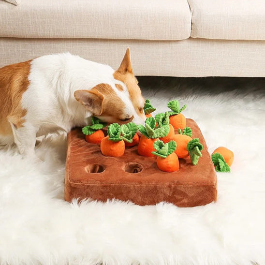 Jouet pour chien indestructible DuraPaws