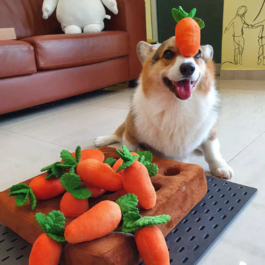 Jouet pour chien macheur intensifs