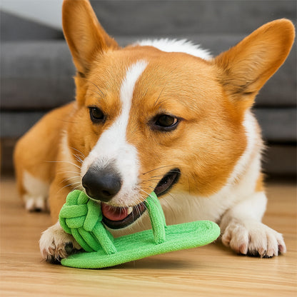 Jouet pour chien nettoyage naturel des dents