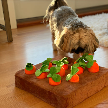 Jouet pour chien redution anxiete