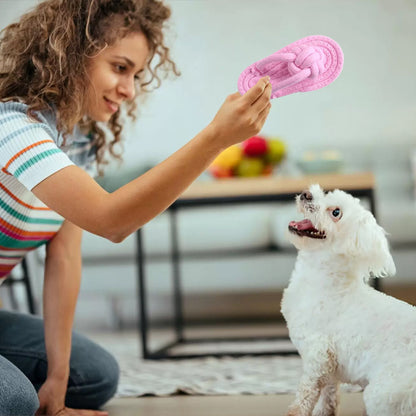 Jouet pour chien renforcement du lien maitre chien