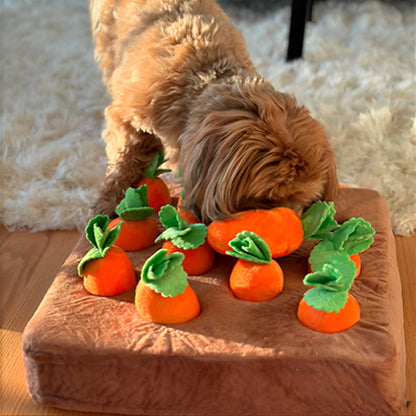 Jouet pour chien stimulation inteligence canine