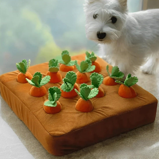 Jouet pour chien texture dure rugeuse souple