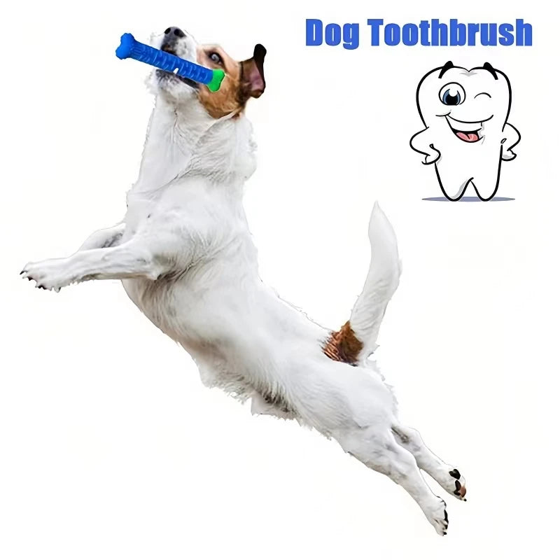 Jouet à mâcher en silicone pour chien Facile à nettoyer