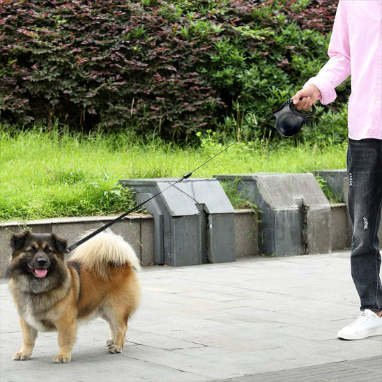 Laisse legere pour chien