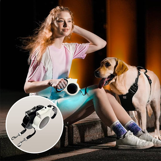 Laisse pour chien Mousqueton metal robuste anti ouverture