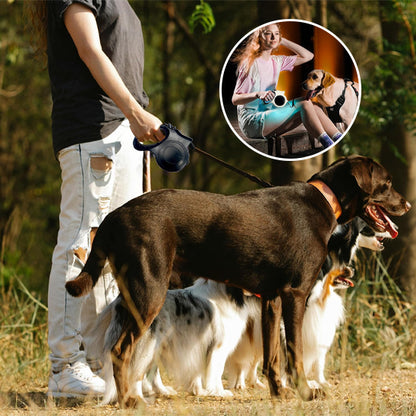 Laisse pour chien anti traction 