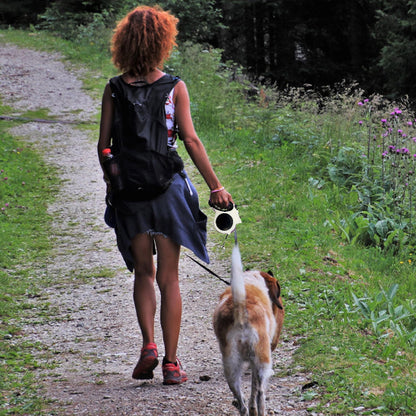 Laisse pour chien confort securite