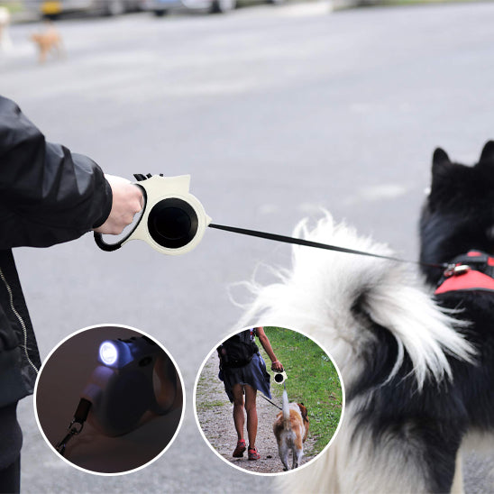 Laisse pour chien promenade noctunes 