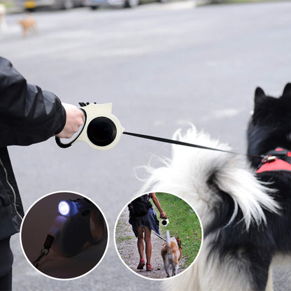 Laisse pour chien promenade noctunes 