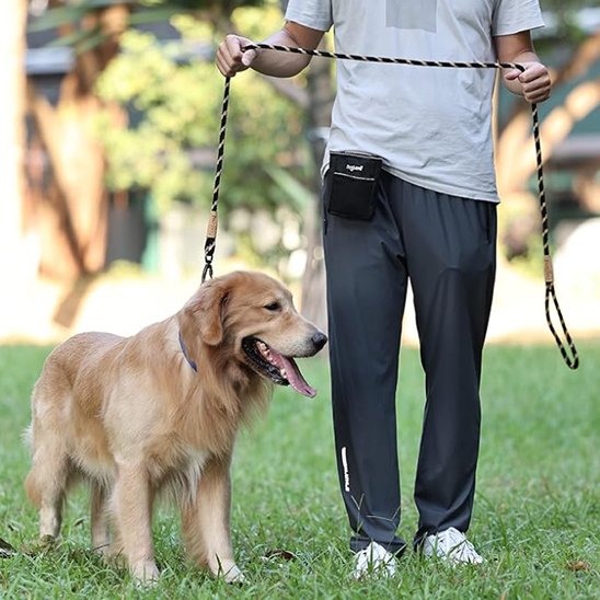 Laisse chien beige-noir-railler