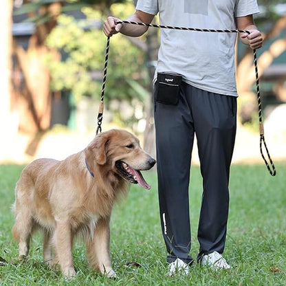Laisse chien beige-noir-railler