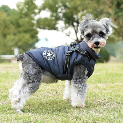 Manteau chien Impermeable