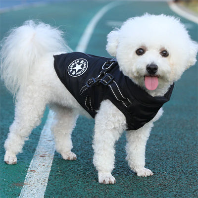Manteau chien coton chaud