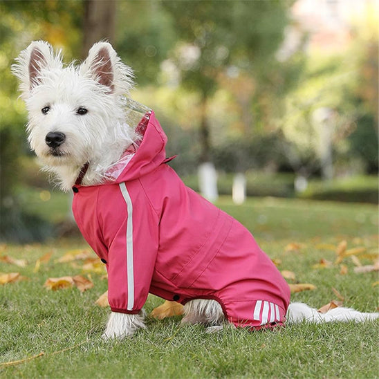 Manteau pour chien-Elements reflechissant pour securite nocturne