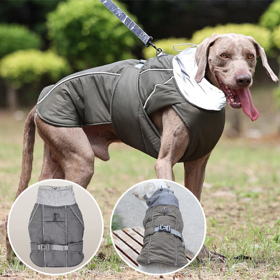 Manteau pour chien Long chaud