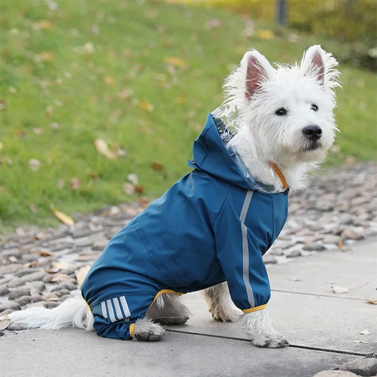 Manteau- pour chien bordures elastique meilleur ajustement