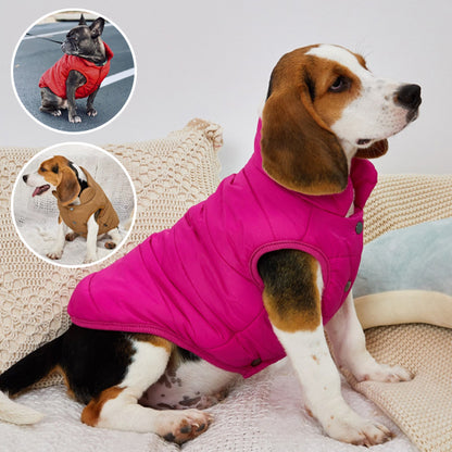 Manteau pour chien chaud hivernal