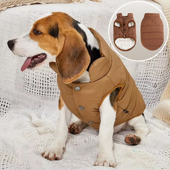 Manteau pour chien coloris varies pour-associer style visibilite
