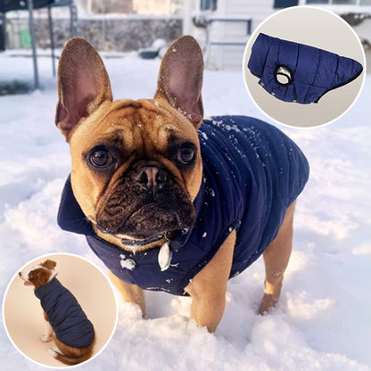 Manteau pour chien confortable